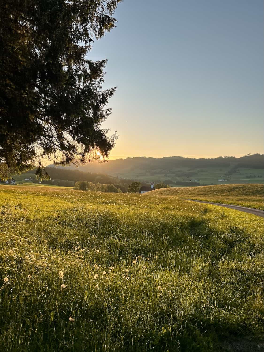 Die tief stehende Sonne beleuchtet eine Wiese und die Hügel im Hintergrund.