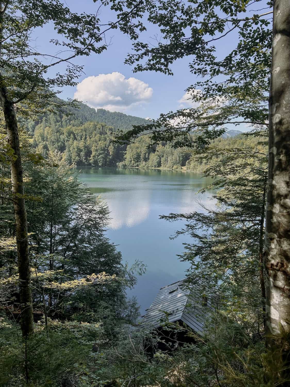 Idyllischer Bergsee zwischen dichten Wäldern als Ausflugsziel rund um den Mika Hof im Allgäu