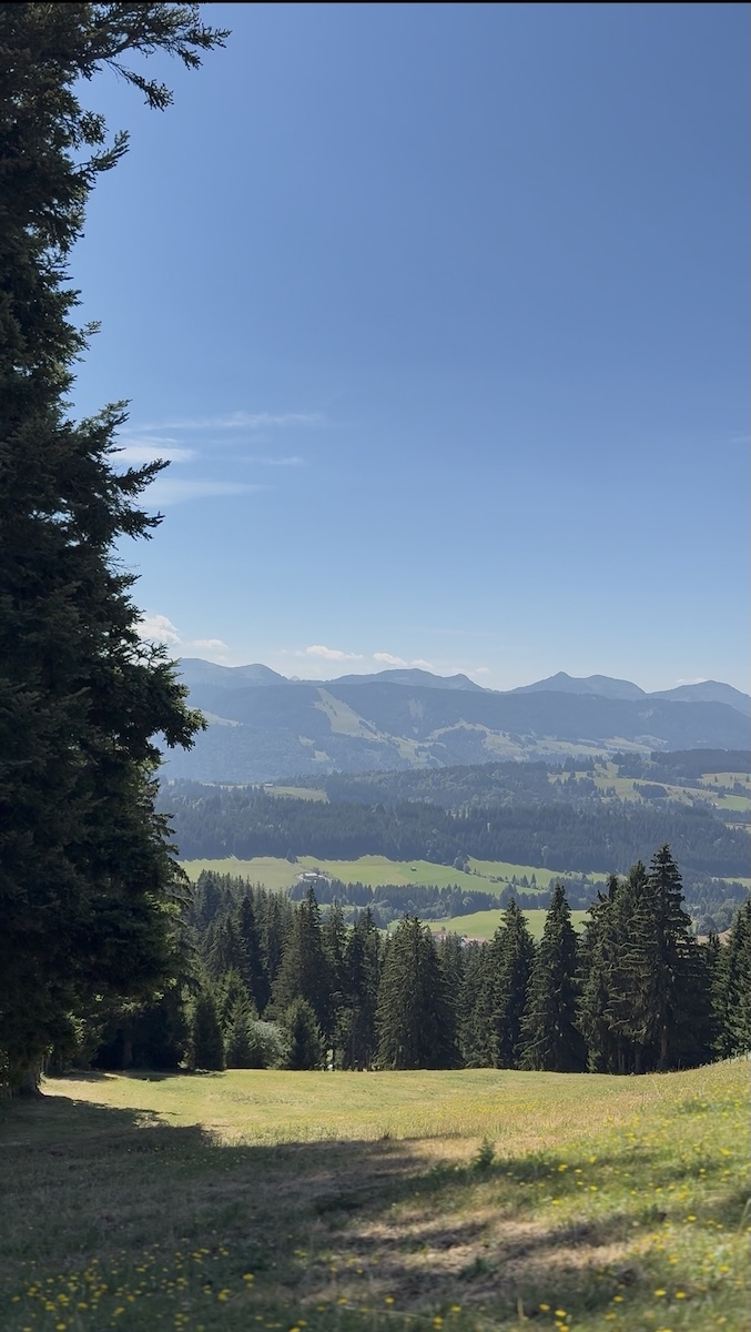Weite Berglandschaft am Hauchenberg mit Wiesen, Wald und Blick über das idyllische Westallgäu